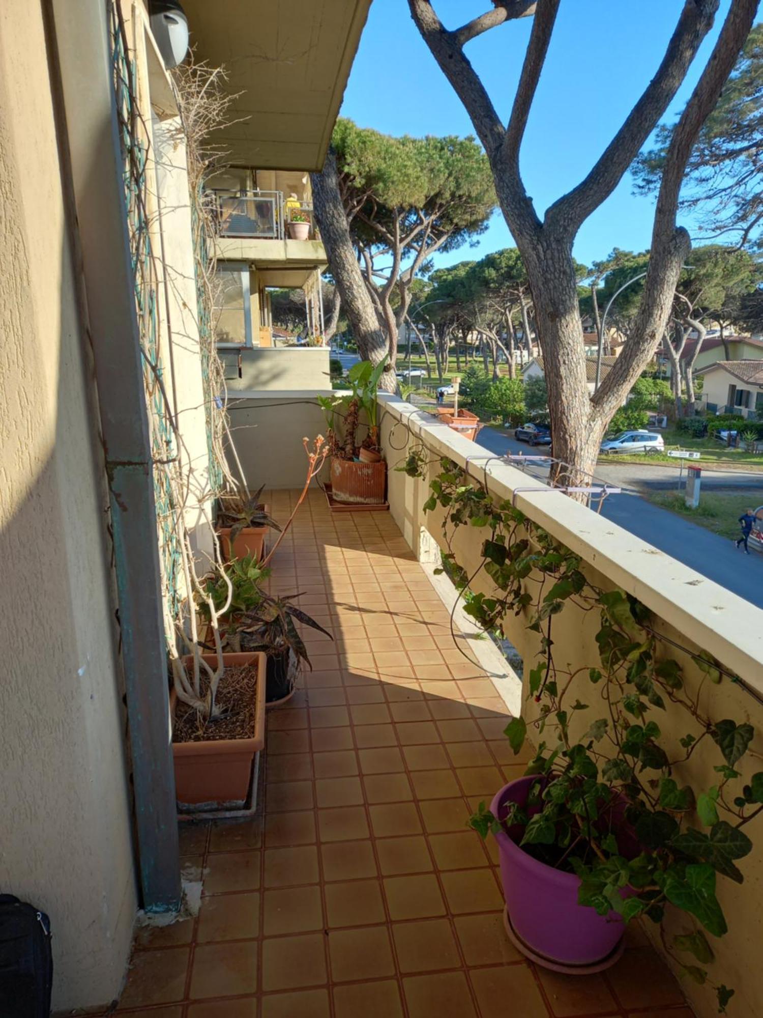 Apartment Via Del Tombolo